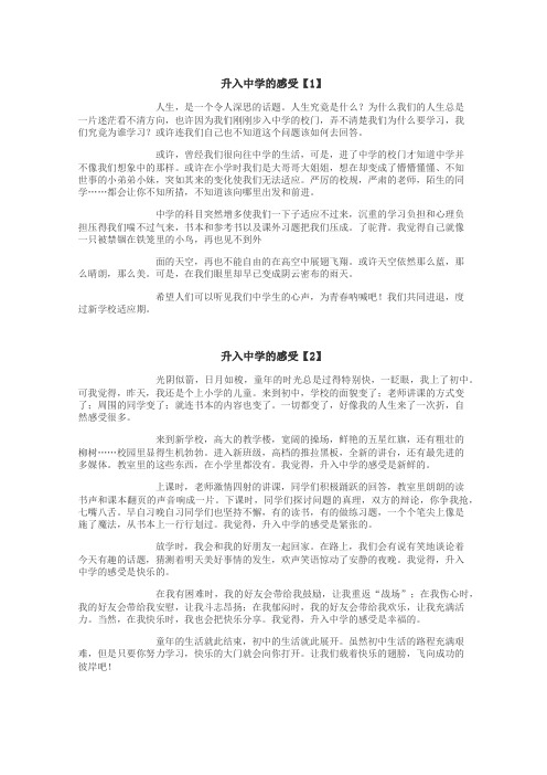 升入中学的感受作文
