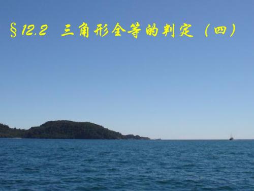 全等三角形的判定(HL).2.4三角形全等的判定(HL)