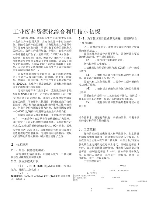 工业废盐资源化综合利用