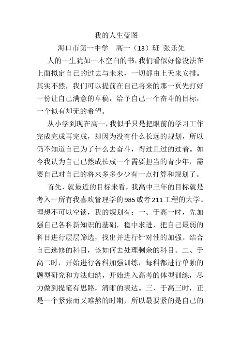 我的人生蓝图(4)