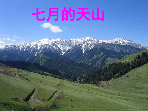 人教版四年级下册4.《七月的天山》