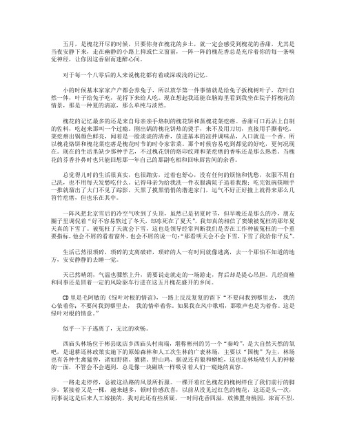 高分作文范文-槐花香自来