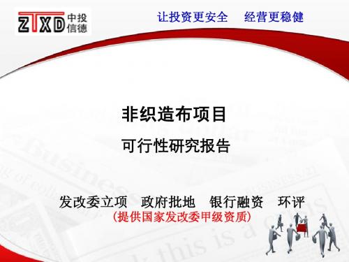 非织造布项目可行性研究报告