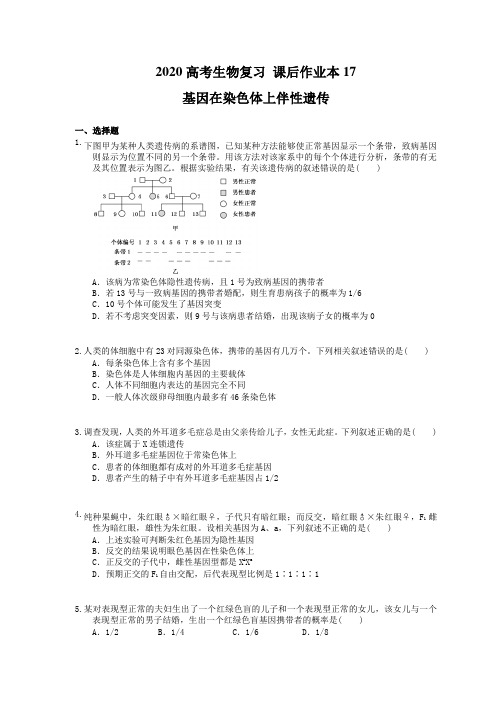2020高考生物复习 课后作业本17 基因在染色体上伴性遗传(含解析)