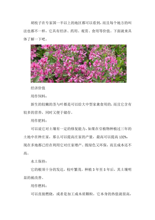 胡枝子的主要价值