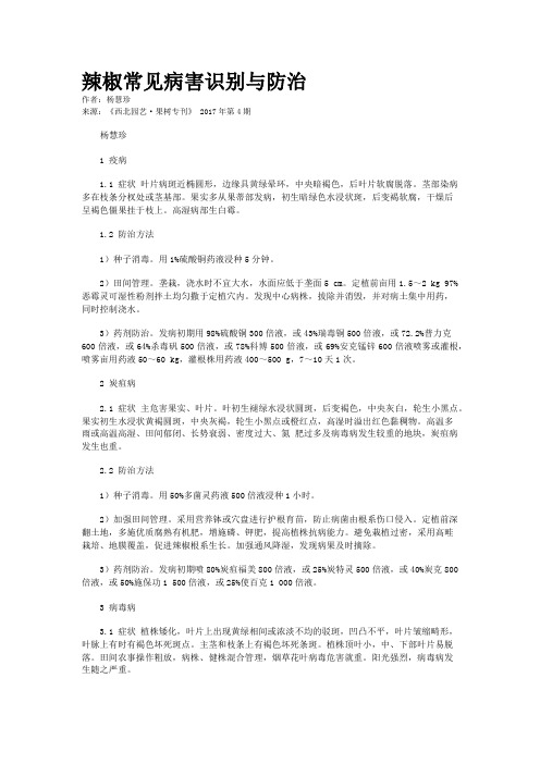 辣椒常见病害识别与防治