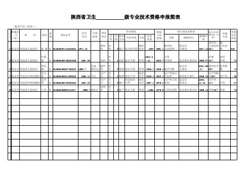 申报简表
