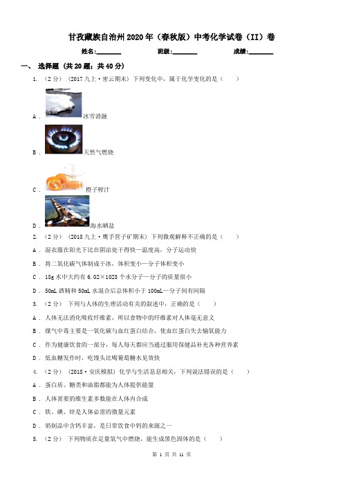 甘孜藏族自治州2020年(春秋版)中考化学试卷(II)卷