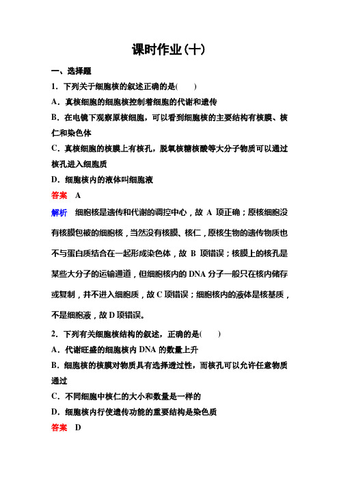 高考调研精讲精练人教必修1生物作业10
