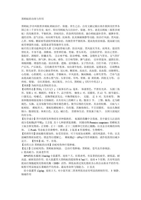 黑蚂蚁的功效与作用