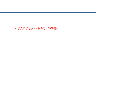 小学六年级语文ppt课件老人和海鸥-