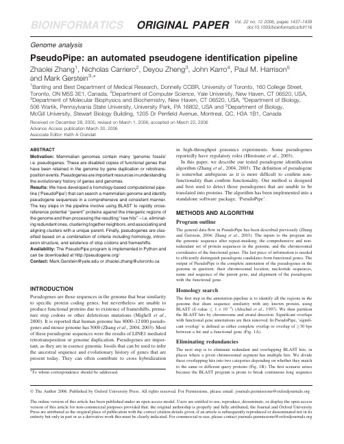 PseudoPipe an automated pseudogene identification pipeline
