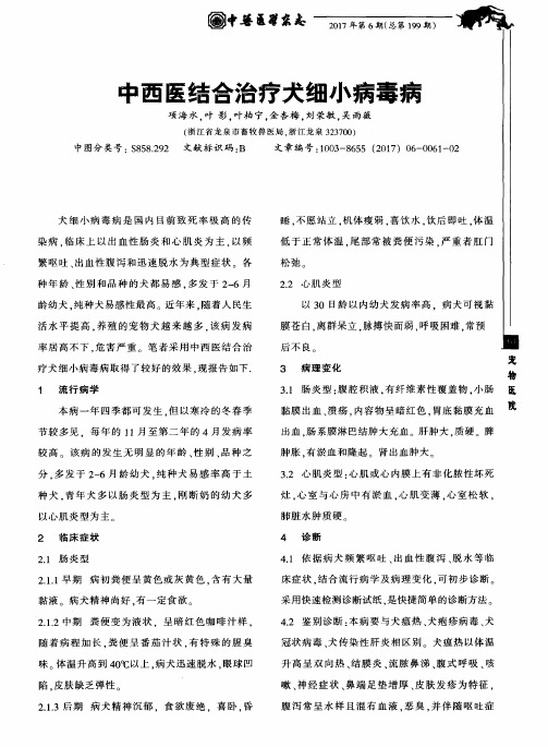 中西医结合治疗犬细小病毒病