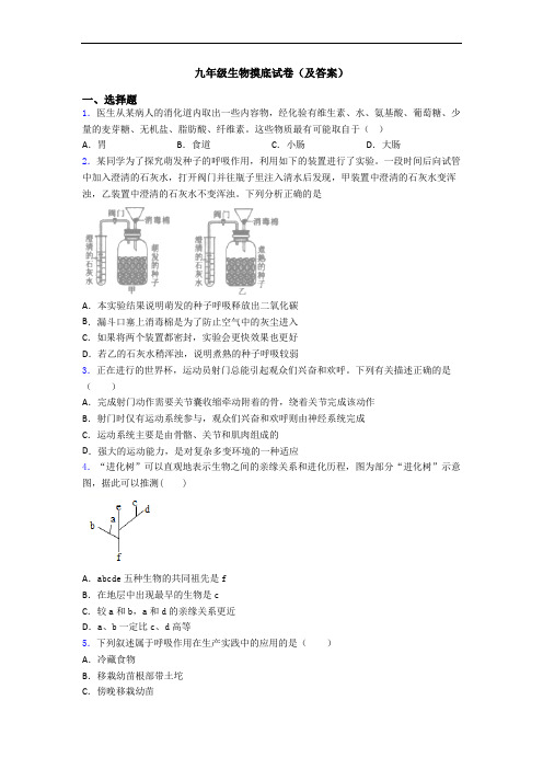 九年级生物摸底试卷(及答案)
