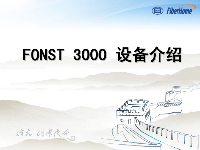 03 FONST 3000设备介绍