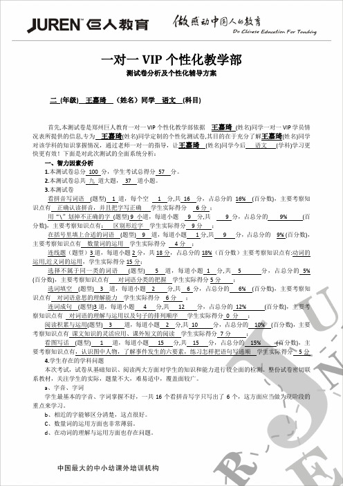 一对一VIP学科测试分析及个性化辅导方