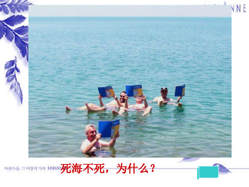 沪教上海版九年级化学上册 3.2溶液_24