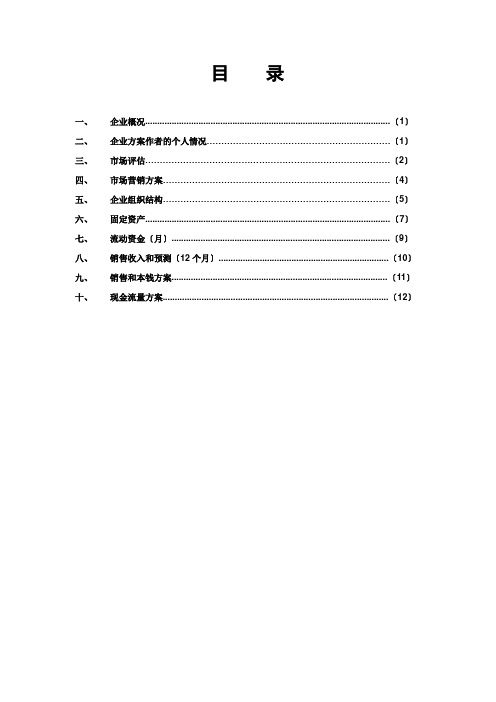 创业计划书完整版之三