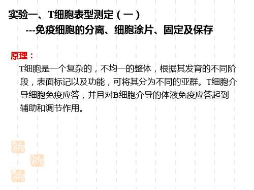 T细胞表型及脾细胞分离