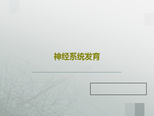 神经系统发育88页PPT