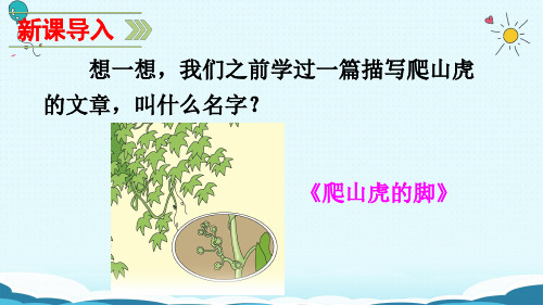 人教版四年级语文上册《那片绿绿的爬山虎》PPT课件(共38张PPT)