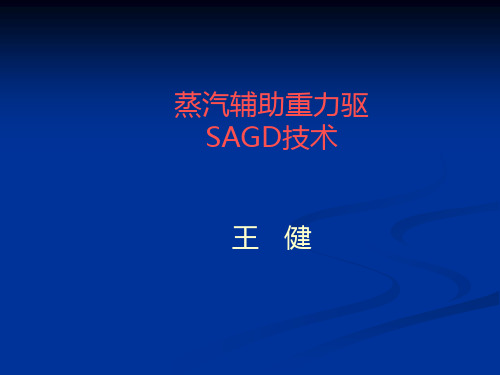 蒸汽辅助重力驱油