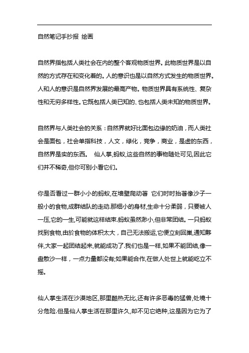 自然笔记手抄报 绘画