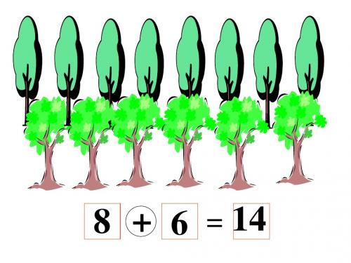 一年级数学有几棵树