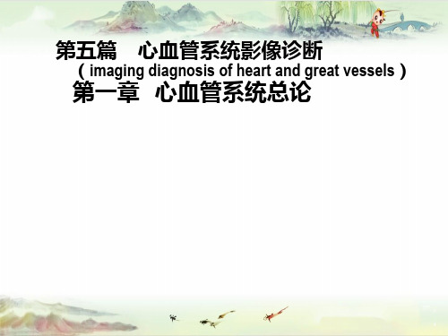 心血管系统影像诊断(一)——【精品医学专业PPT】