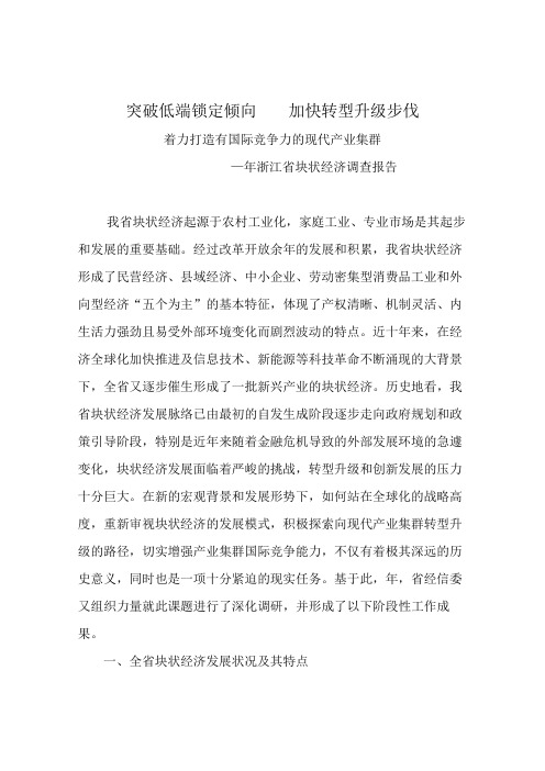 2009年浙江省块状经济调查报告