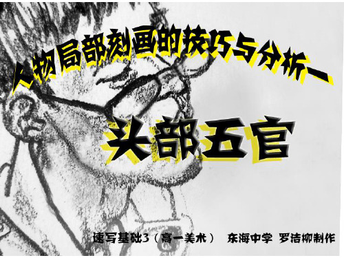 冀美版七年级上册美术：5学画速写