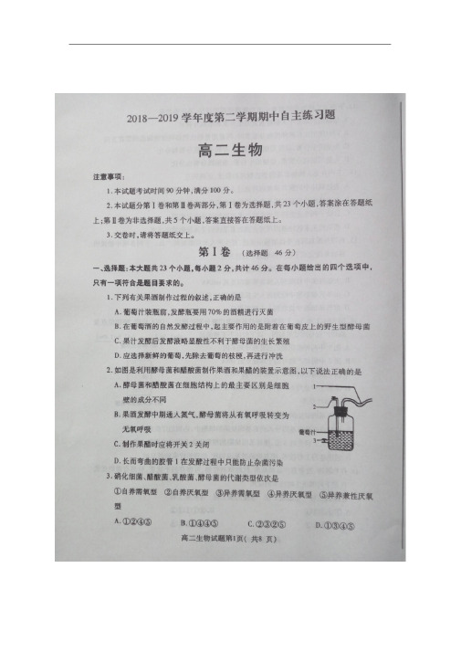 山东省烟台市2018-2019学年高二下学期期中考试生物试卷(扫描版)