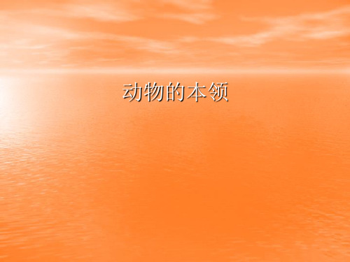 动物的本领