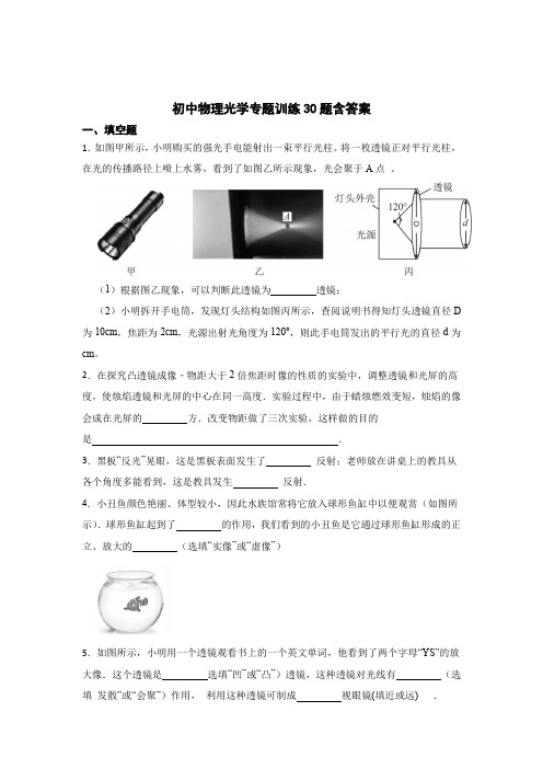 初中物理光学专题训练30题含答案(5篇)