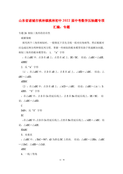山东省诸城市桃林镇桃林初中2022届中考数学压轴题专项汇编：专题