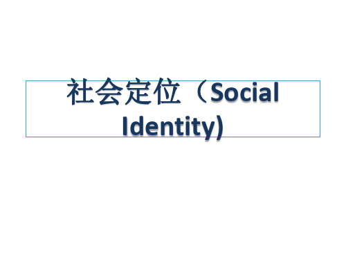 社会定位(Social   Identity)