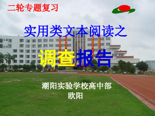 高考复习实用类文本阅读之调查报告PPT[优秀课件资料]