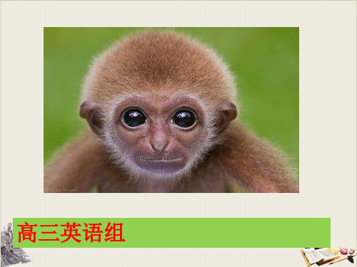 高考英语一轮复习形容词副词比较级PPT精美课件ppt优质课件