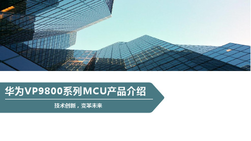 VP9800系列MCU产品介绍