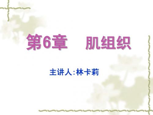 组织学与胚胎学 肌组织(本科)