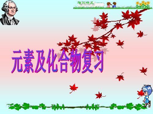 初中化学元素化合物知识复习课件