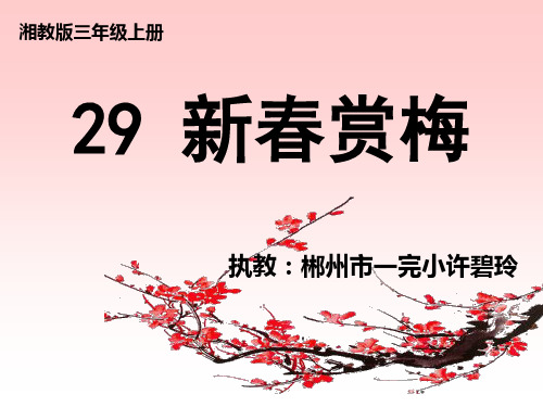 小学-语文-湘教版-三年级上册-新春赏梅