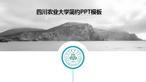 四川农业大学专用-简洁风格-PPT模板风1