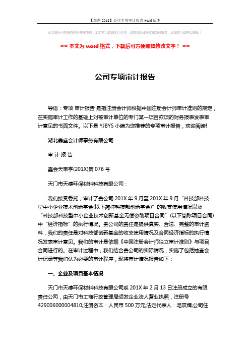 【最新2018】公司专项审计报告word版本 (6页)
