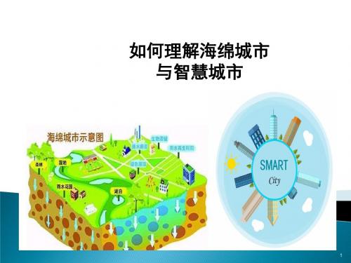 海绵城市与智慧城市介绍ppt课件