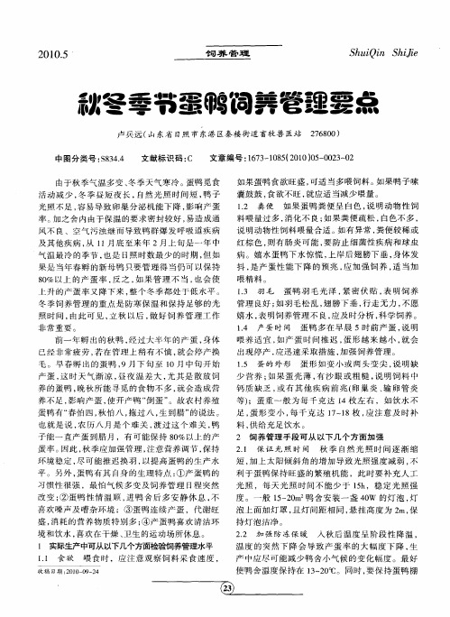 秋冬季节蛋鸭饲养管理要点