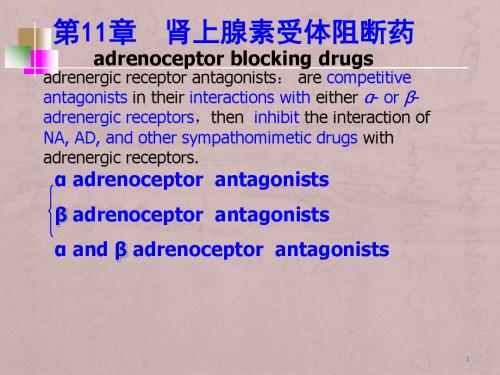 肾上腺素受体阻断药ppt课件