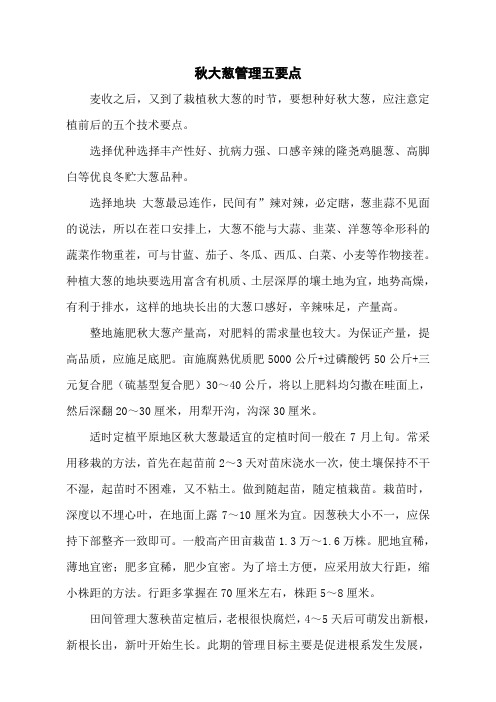 秋大葱管理五要点