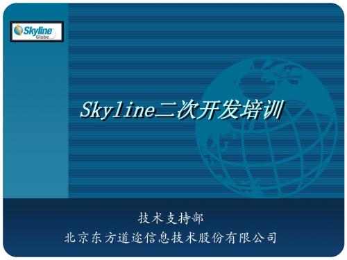 Skyline二次开发V6-培训