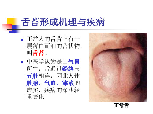 舌苔的形成机理